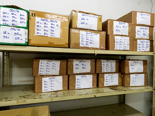 毛髪を準備するの写真1