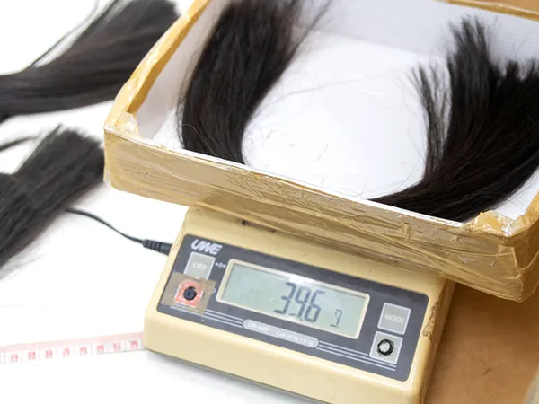 ファイバーセクションの写真1